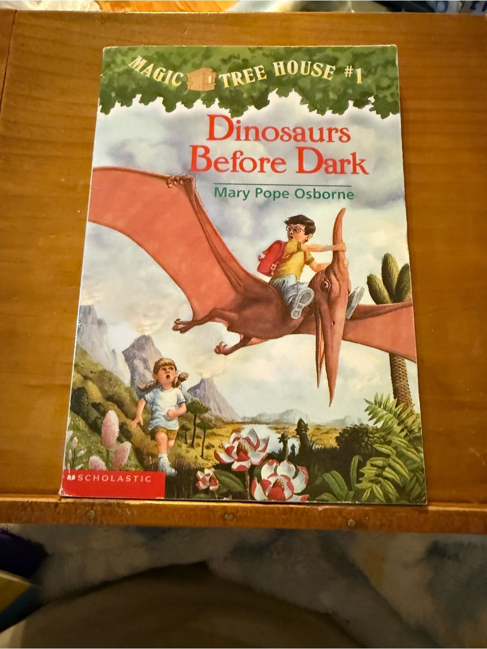 Magic Tree House #1 Dinosaurs Before Dark Children’s Book by Mary Pope Osborne